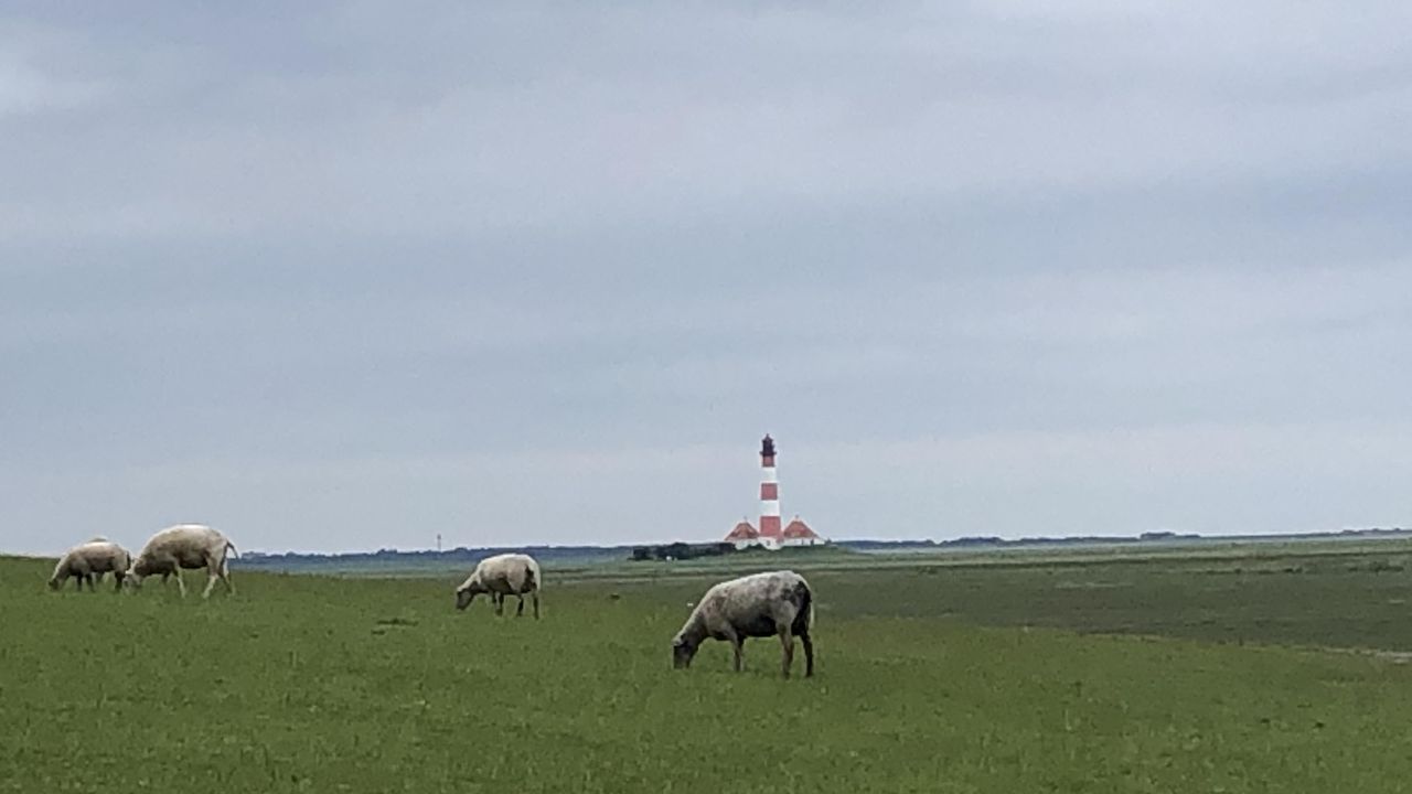 Unsere Wahrzeichen Unsere Wahrzeichen